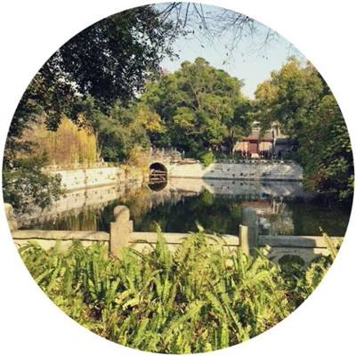 逆袭的英灵官方下载